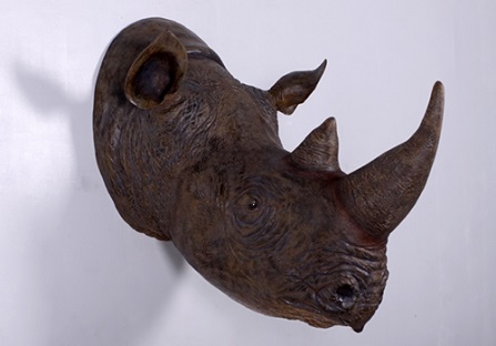 Rhinoceros Head - Click Image to Close